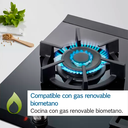 Placa de Gas BOSH Vidrio Templado 4 Zonas 60cm